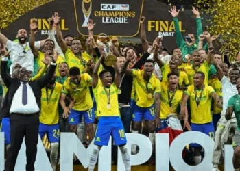 mamelodi_sundowns_joie_240526-492x410