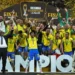 mamelodi_sundowns_joie_240526-492x410