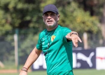 Paulo Duarte, Coach Syli